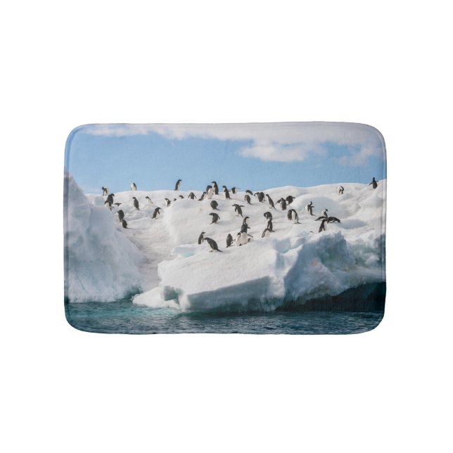 Gentoo Penguin Antarktis Iceberg Playtime Badematte (Vorderseite)