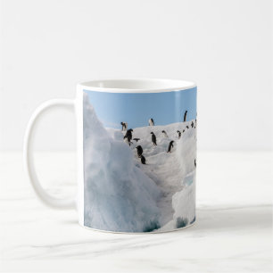 Gentoo Penguin Antarktis Iceberg Playtime Kaffeetasse