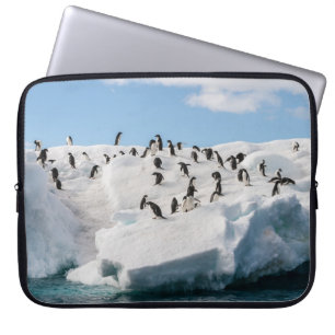Gentoo Penguin Antarktis Iceberg Playtime Laptopschutzhülle