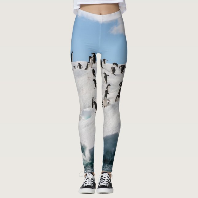 Gentoo Penguin Antarktis Iceberg Playtime Leggings (Vorderseite)