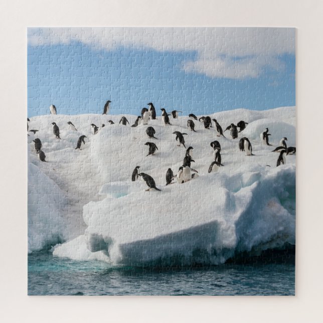 Gentoo Penguin Antarktis Iceberg Playtime Puzzle (Vertikal)