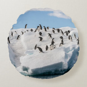 Gentoo Penguin Antarktis Iceberg Playtime Rundes Kissen