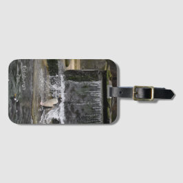 Gentoo Penguin & Friends Edinburgh Zoo Schottland Gepäckanhänger