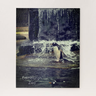 Gentoo Penguin & Friends Edinburgh Zoo Scotland Po Puzzle