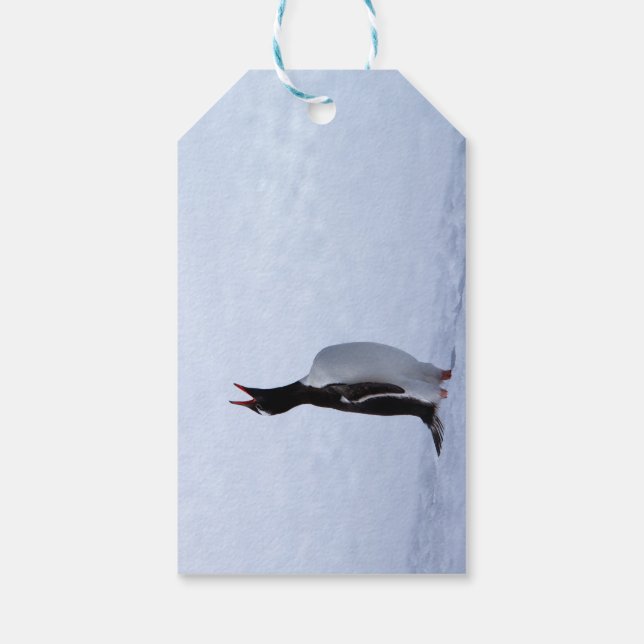 Gentoo penguin geschenkanhänger (Rückseite)