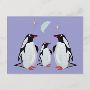 Gentoo Penguin Grüße Postkarten