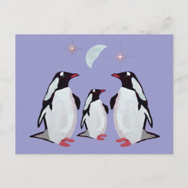 Gentoo Penguin Grußkarten Postkarten (Vorderseite)