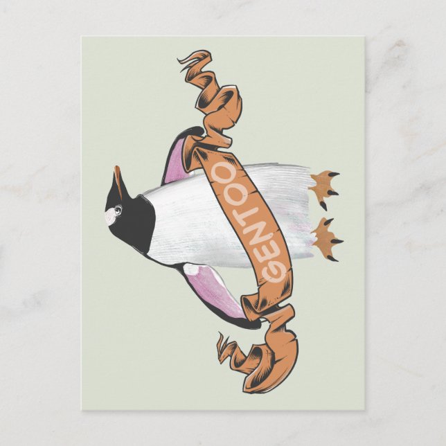 Gentoo penguin postkarte (Vorderseite)