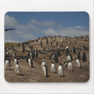 Gentoo Penguin (Pygoscelis papua) Kolonie im Weste Mousepad