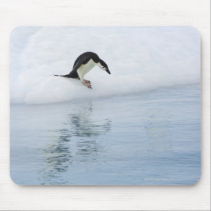 Gentoo penguin (Pygoscelis papua) Mousepad
