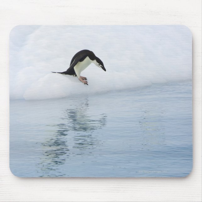 Gentoo penguin (Pygoscelis papua) Mousepad (Vorne)