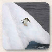 Gentoo Penguin Pygoscelis Papua) stehend
