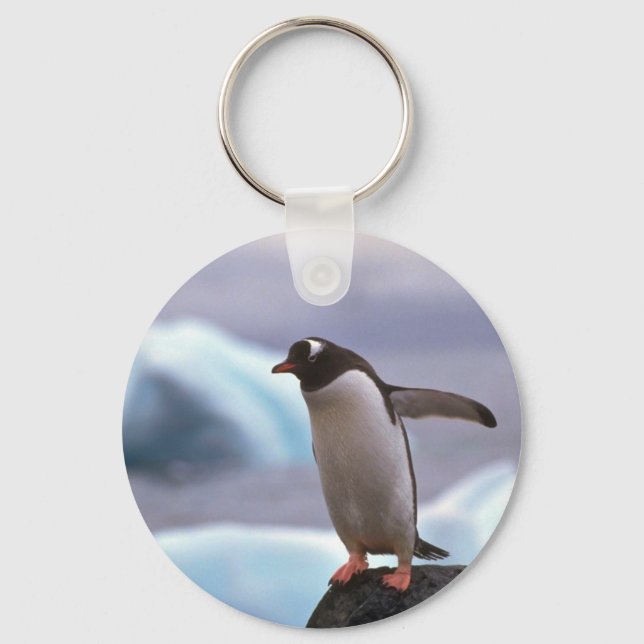 Gentoo Penguin Schlüsselanhänger (Vorderseite)