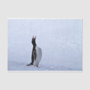 Gentoo penguin seidenpapier
