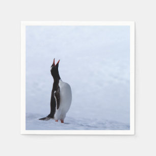 Gentoo penguin serviette