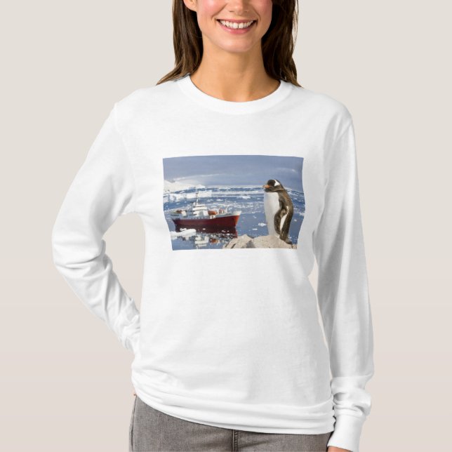 Gentoo Penguin T-Shirt (Vorderseite)