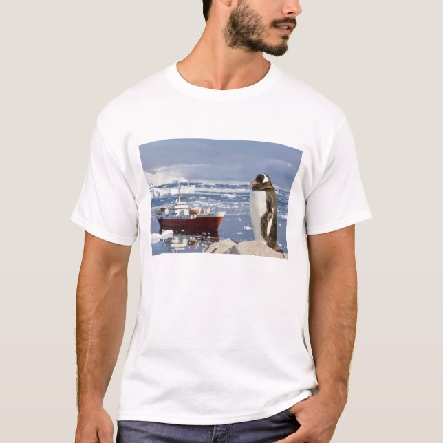Gentoo Penguin T-Shirt (Vorderseite)