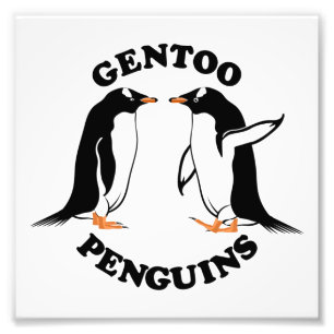 Gentoo Penguins Fotodruck