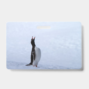 Gentoo-Pinguin Ausweis