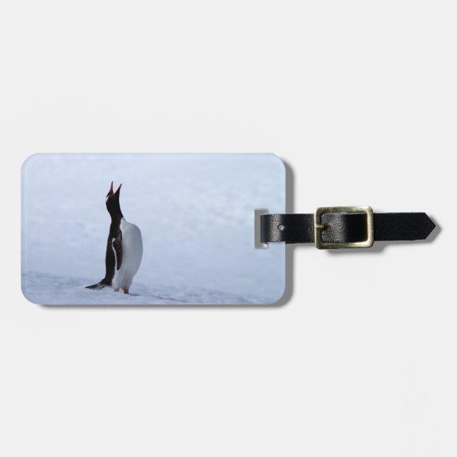Gentoo Pinguin Gepäckanhänger (Vorderseite horizontal)