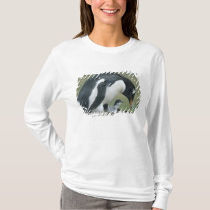 Gentoo Pinguin, (Pygoscelis papua), Falkland T-Shirt