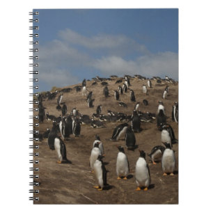 Gentoo-Pinguin (Pygoscelis papua) Kolonie im Weste Notizblock