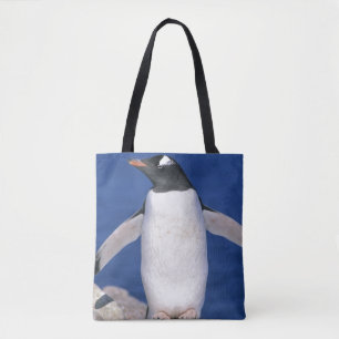 Gentoo Pinguin Pygoscelis papua) Port