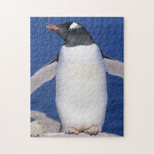 Gentoo-Pinguin Pygoscelis papua) Port Puzzle