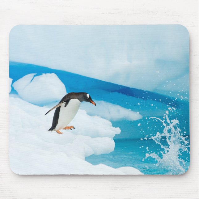 Gentoo Pinguin, Pygoscelis Papua, springt ab Mousepad (Vorne)