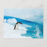 Gentoo Pinguin, Pygoscelis Papua, springt ab