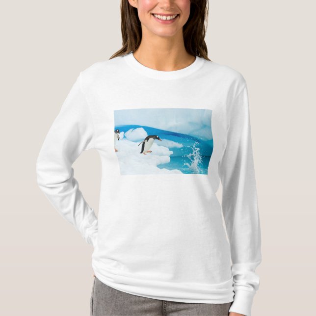 Gentoo Pinguin, Pygoscelis Papua, springt ab T-Shirt (Vorderseite)