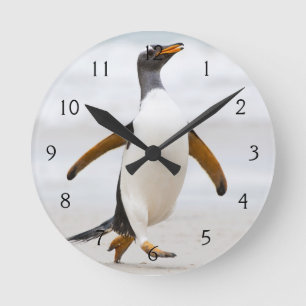 Gentoo Pinguin Runde Wanduhr