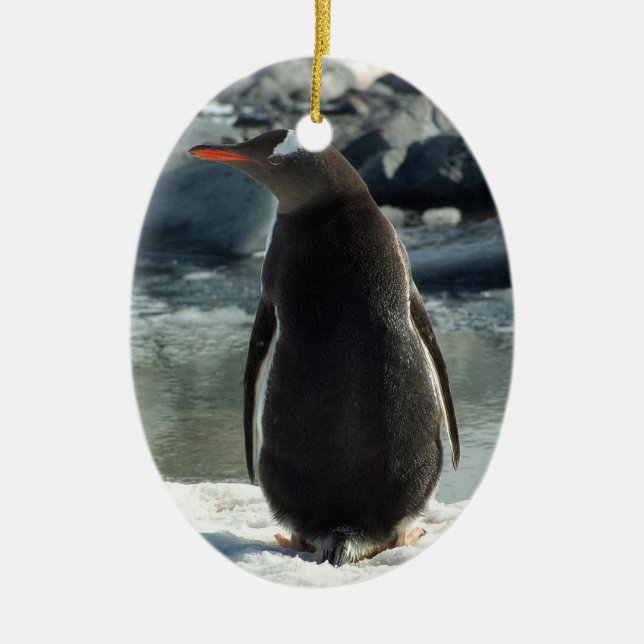 Gentoo Pinguin-Verzierung Keramikornament (Vorne)