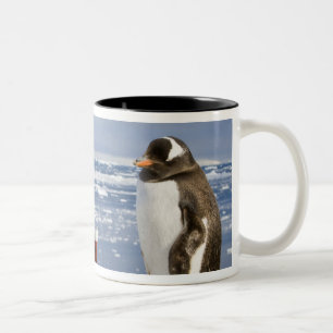 Gentoo-Pinguin Zweifarbige Tasse
