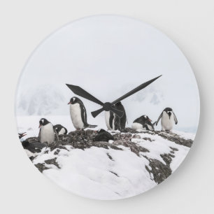 Gentoo Pinguine, Antarktis, Vernadsky Station. Große Wanduhr