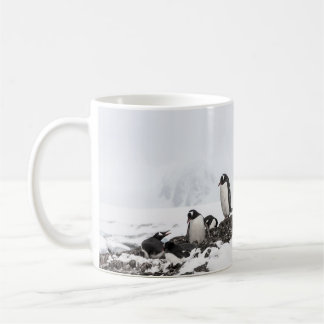 Gentoo Pinguine, Antarktis, Vernadsky Station. Kaffeetasse