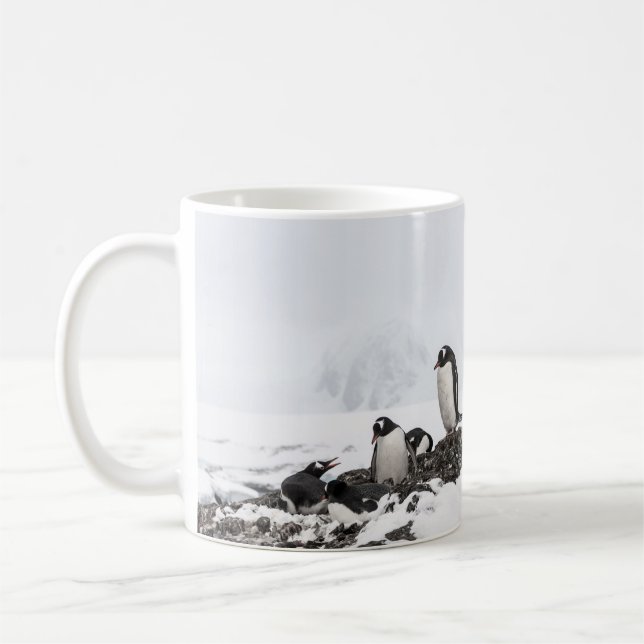 Gentoo Pinguine, Antarktis, Vernadsky Station. Kaffeetasse (Links)