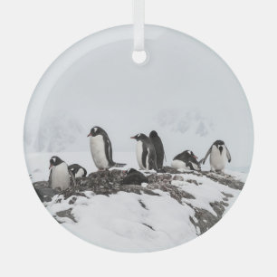 Gentoo Pinguine, Antarktis, Vernadsky Station. Ornament Aus Glas