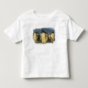 Gentoo-Pinguine, (Pygoscelis papua), Falkland Kleinkind T-shirt