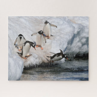 Gentoo Pinguine springen in Wasser in der Antarkti Puzzle