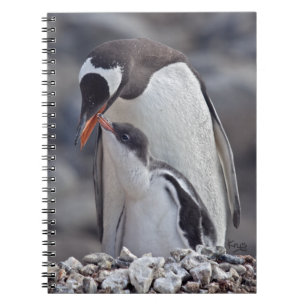 Gentoo und Chick Notebook Notizblock