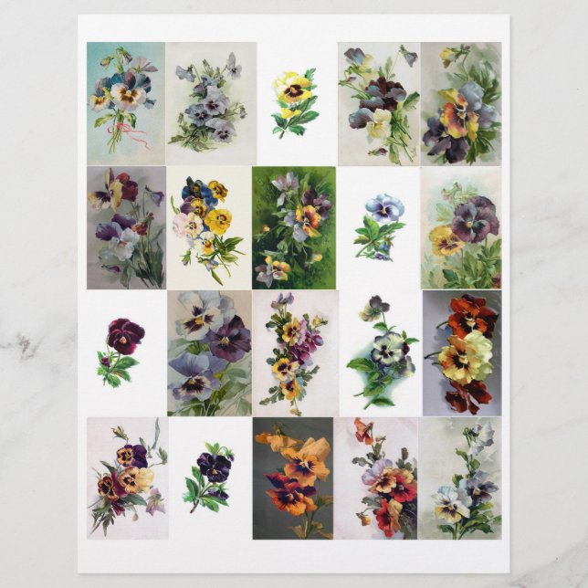 Genuine (nicht KI) Vintage Stiefmütterchen der Vik (Vorderseite)