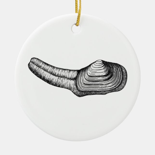 Geoduck Muschel (Schwarzweiss-Illustration) Keramikornament (Vorne)