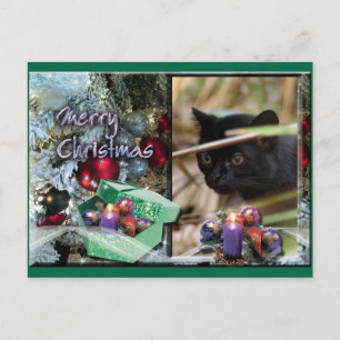 Geoffroy Cat Christmas Postcard Feiertagspostkarte