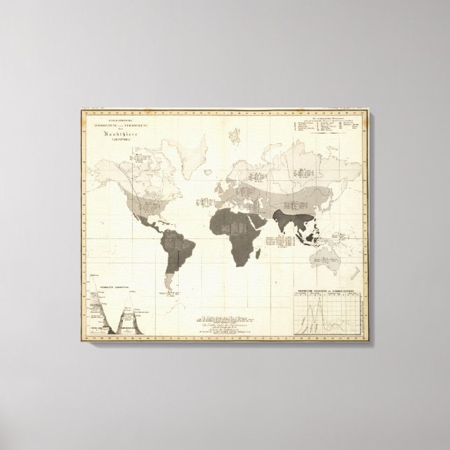 Geografische Verteilung der Vegetation Leinwanddruck (Vorderseite)