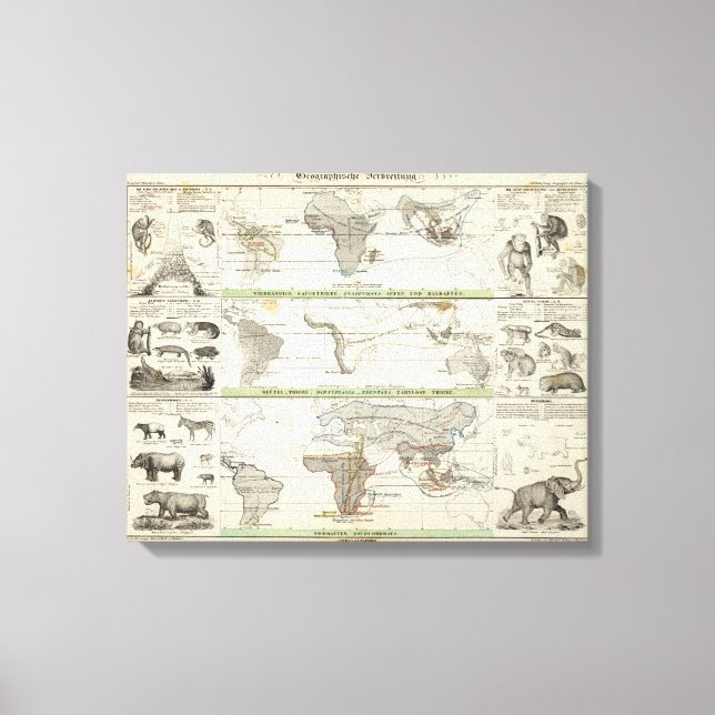 Geografische Verteilung Leinwanddruck (Vorderseite)