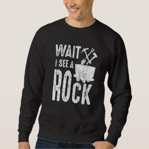 Geologe Paläontologe Rock Collector Geology Sweatshirt
