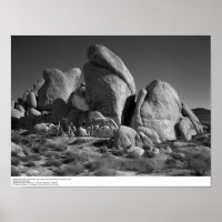 Geologie-Klasse mit Dr. Eaton, 1966