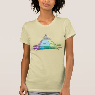 Geologie QAP-Diagramm - Plutonischar Gesteins-ID T-Shirt