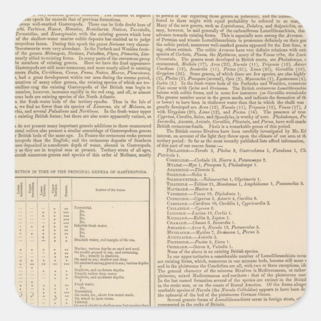 Geologie und Paläontologie der Britischen Inseln Quadratischer Aufkleber (Vorderseite)